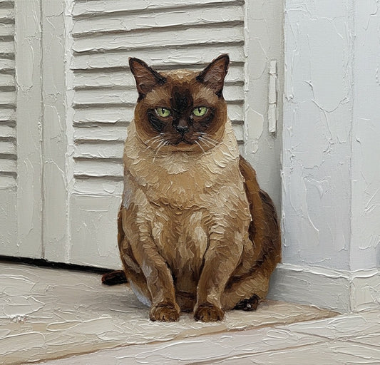Mi gato me espera